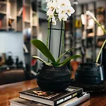 酒店 Sir Savigny Hotel, Part Of Sircle Collection